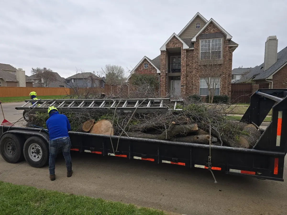 Expert Tree Pest Control with proper safety equipment in Americus